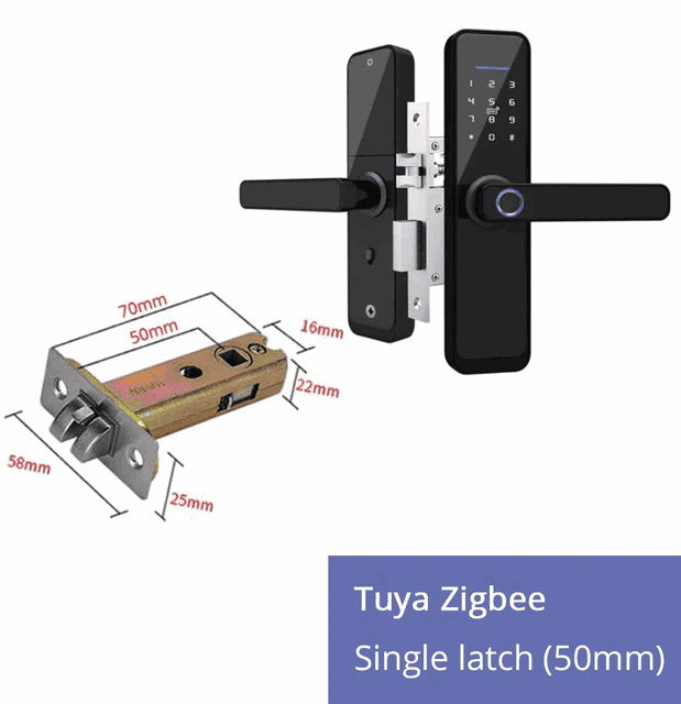 Tuya Zigbee Alexa Voice Control Door Lock Intelligent Security Lock Encryption with Keys IC Cards-Devices You Love
